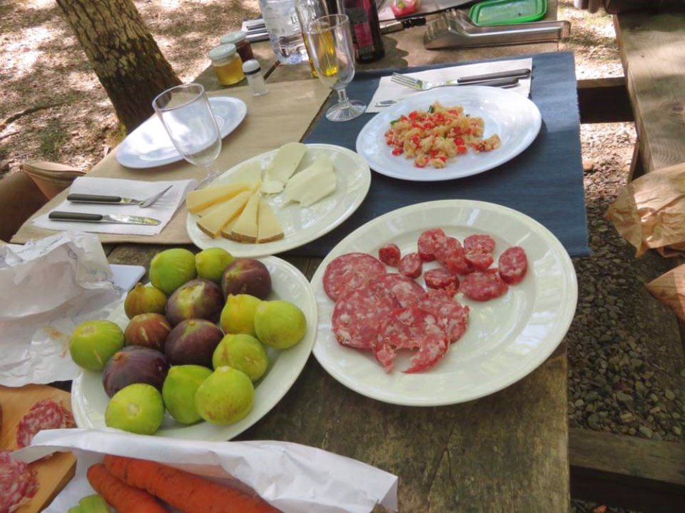 TREKKING EXCURSION WITH PIC-NIC LUNCH
from € 79,00 per person
